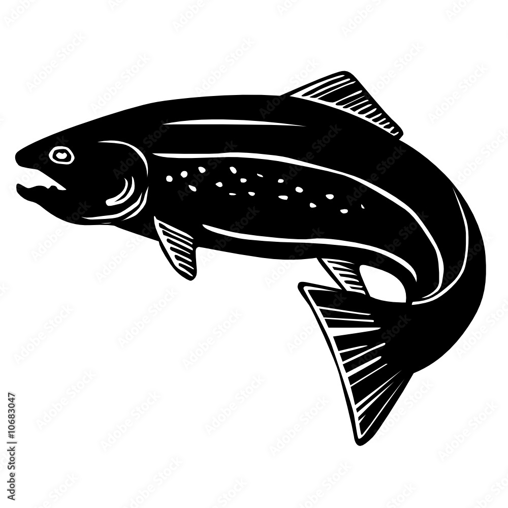 trout fish vector Stock Vector Adobe Stock