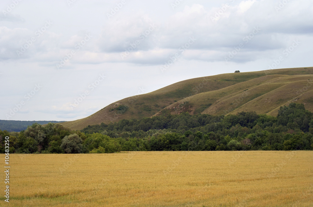 Fototapeta premium Green hill and yellow field
