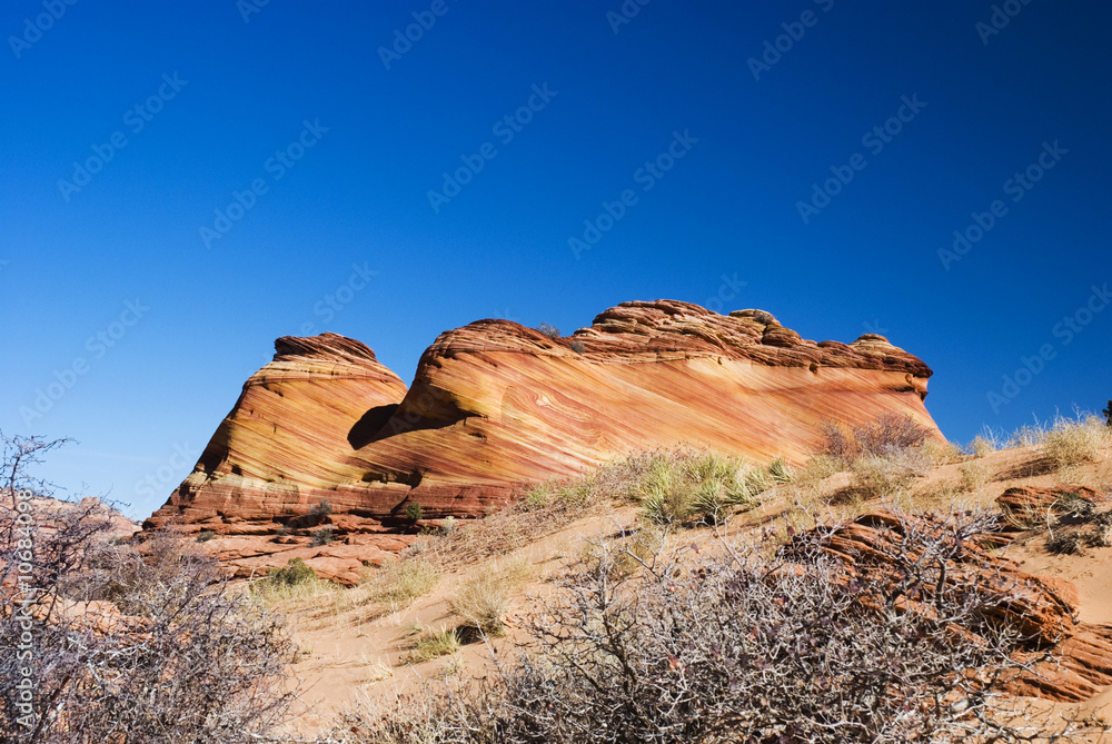 Fototapeta premium Coyote Butte, Paria Canyon,Vermilion Cliffs National Monument