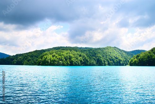 lake in forest