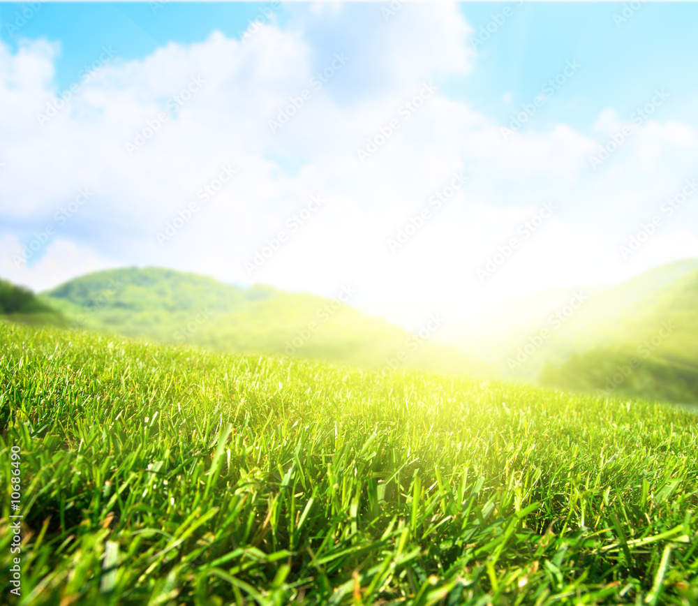 Fototapeta premium summer field and mountains