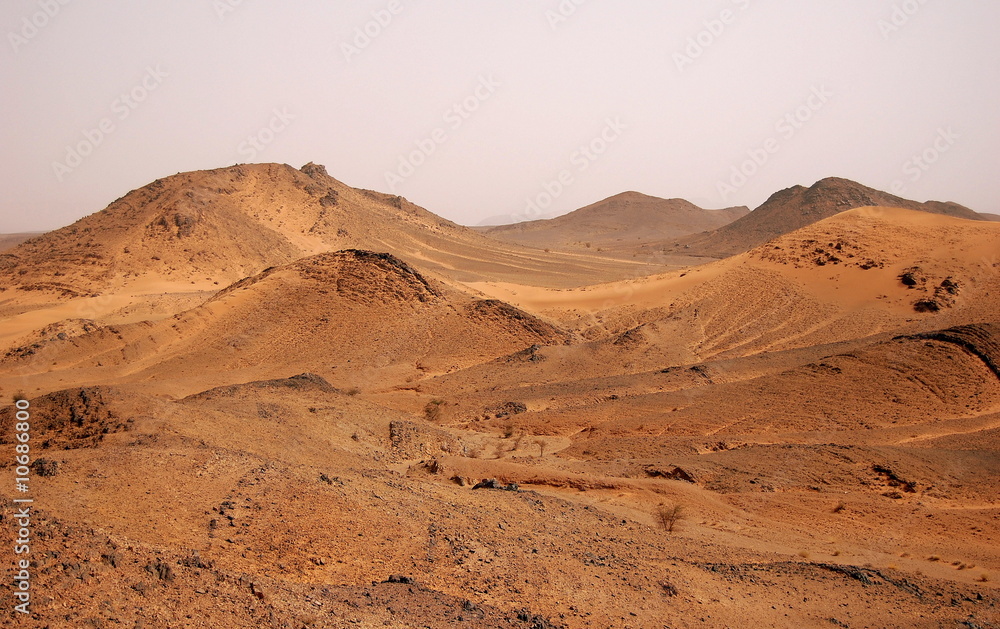 Sahara, immensité