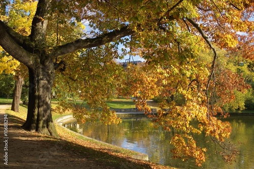 fall scene in city park