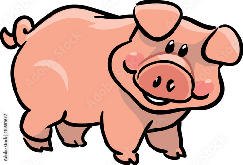 vector cute pig illustration
