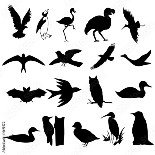 birds set silhouettes vector