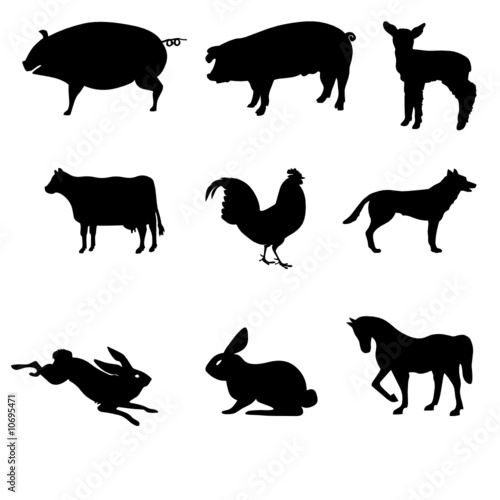 domestic animal silhouettes vector