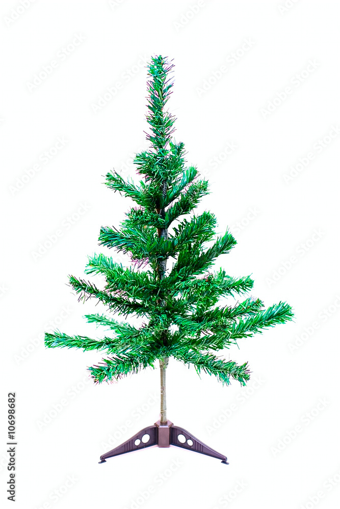 Obraz premium Small holiday tree