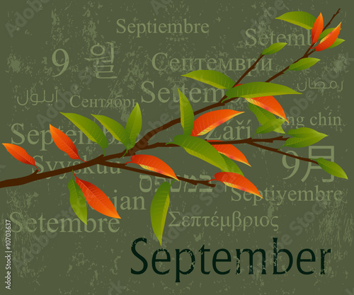 Months Concept September