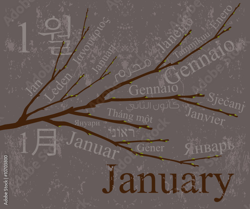Months Concept January