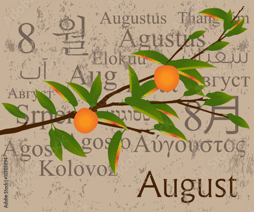 Months Concept August