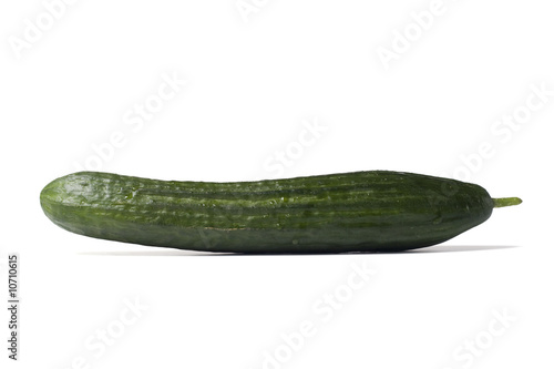 cucumber isolated