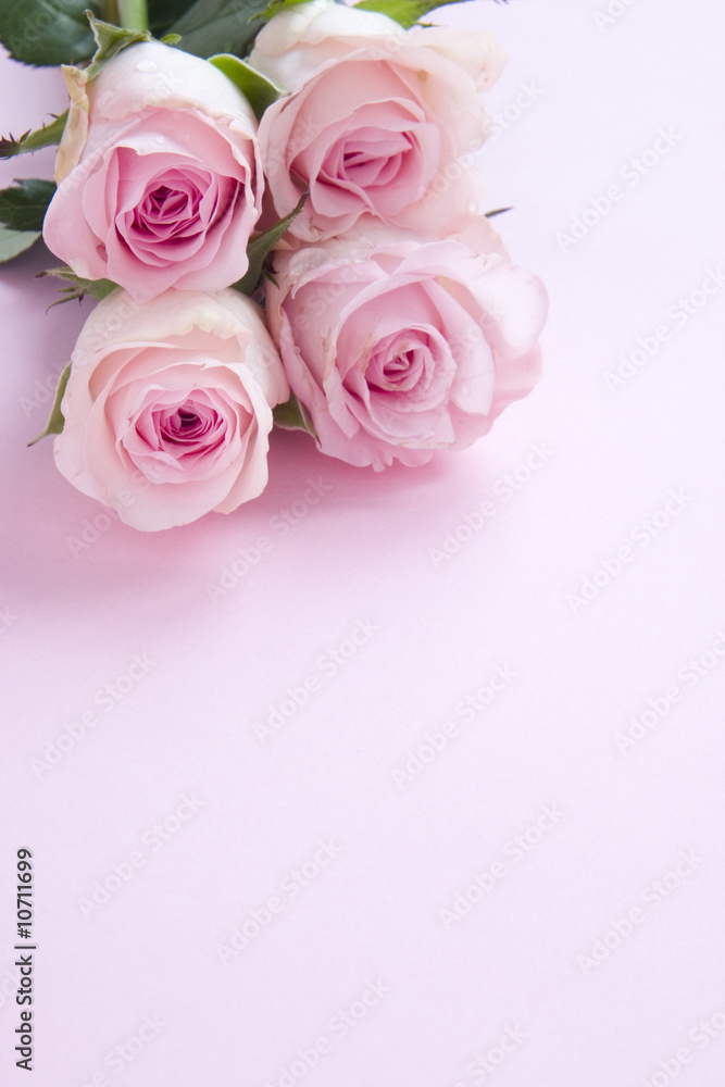 flower 10 flower 10