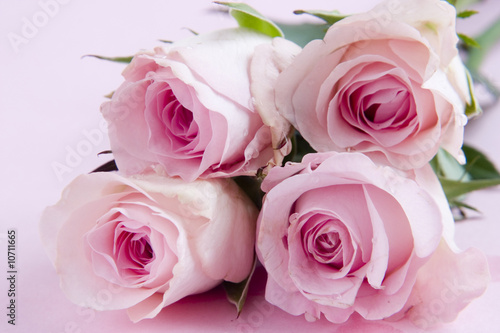 Wallpaper Mural flower 1 Torontodigital.ca