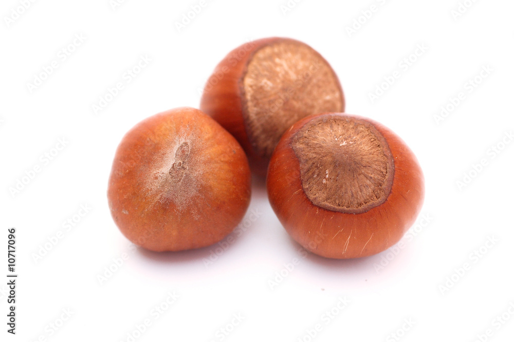 Three hazelnuts