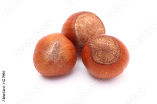Obraz na płótnie Three hazelnuts w salonie