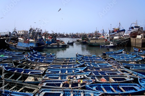 Port de pêche d'Essaouira au Maroc photo