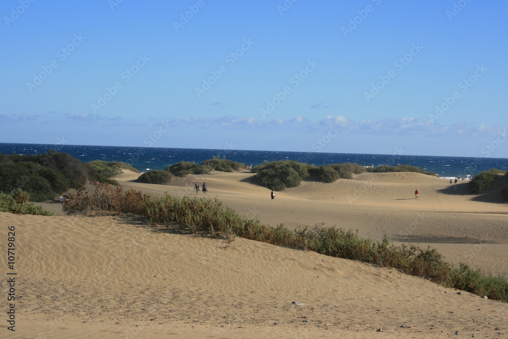 Dünen Maspalomas_2