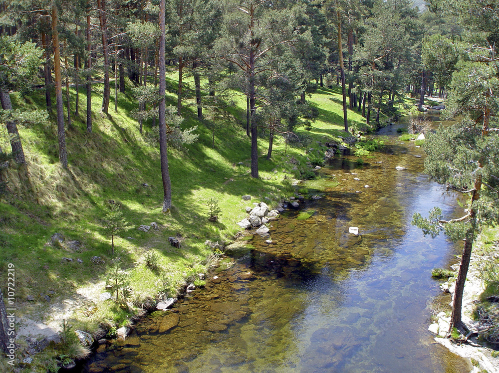 Naklejka premium Rio