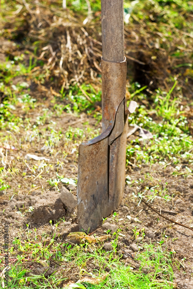 Fototapeta premium Shovel thrust in the earth