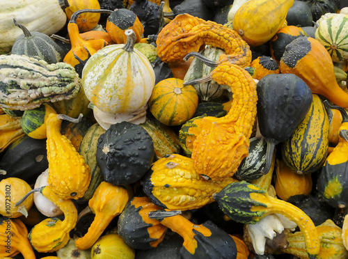 Colorful gourds in a street market