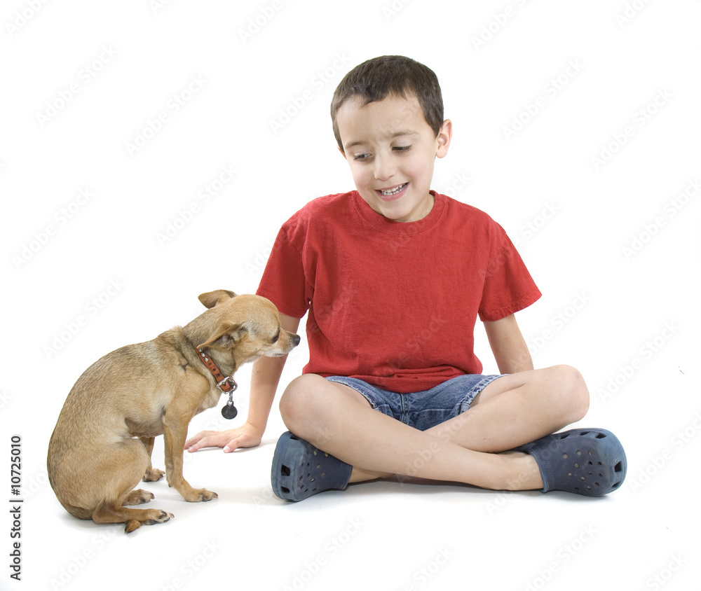 petting the dog petting the dog