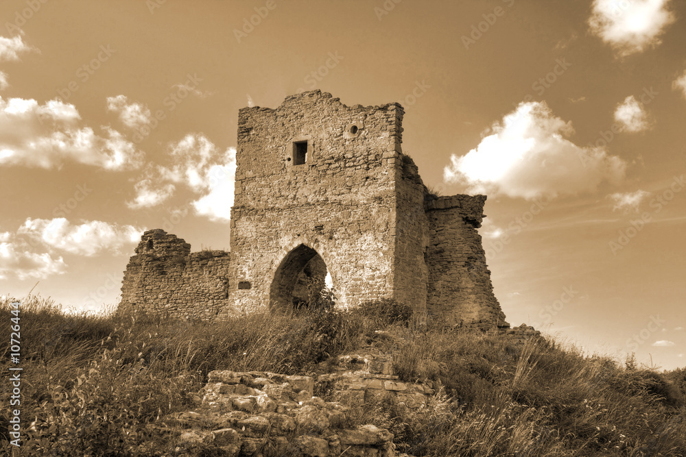 Fototapeta premium The Ruins