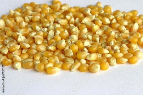 Closeup of popping corn over white background