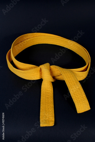 cintura di karate