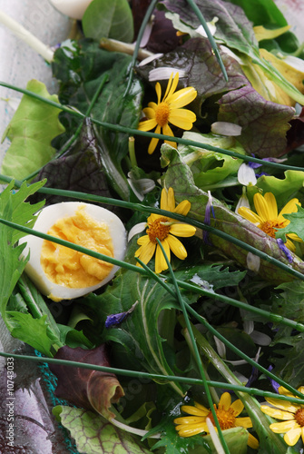 Insalata di primavera - Antipasti - Cucina alle erbe e fiori photo