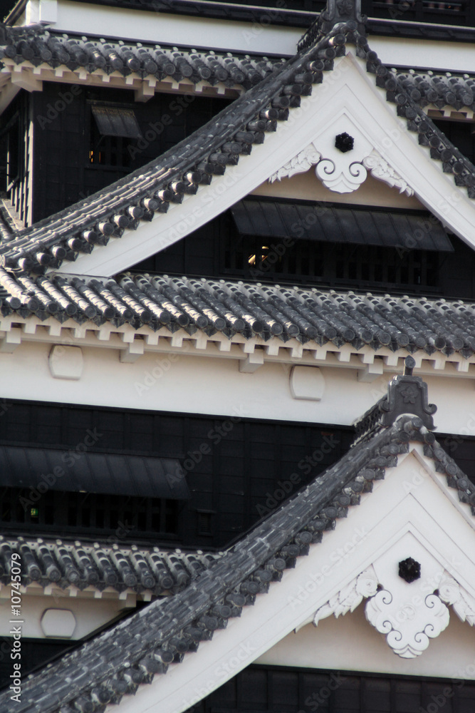 Detail of Japanese Castle