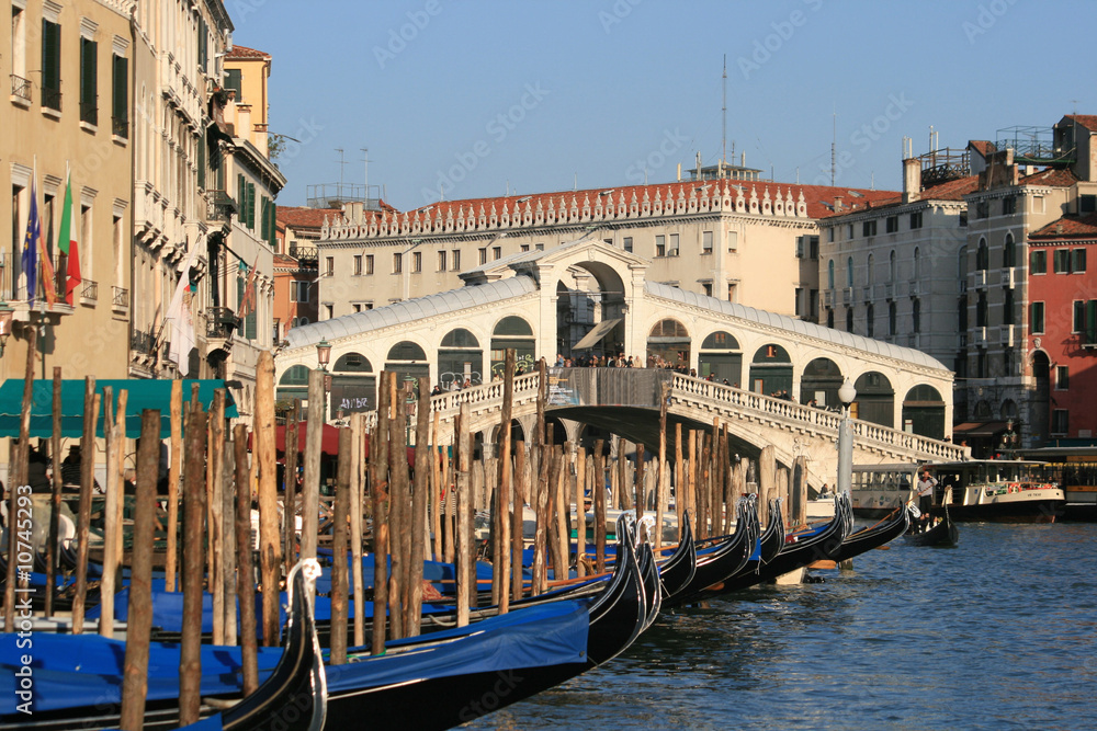 Fototapeta premium Venezia - Rialto