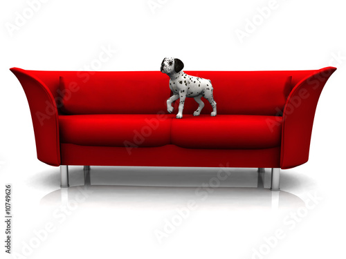 Dalmatian puppy in sofa © Sarah Holmlund