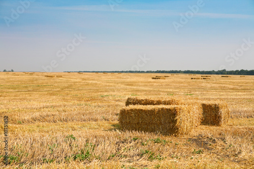 Haybails on an agricultural field photo