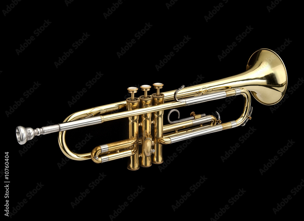 Obraz premium Trompeta_7442.