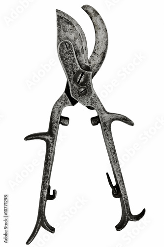 vintage pruning shears