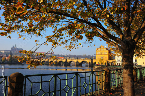 Moldavia and charles bridge photo