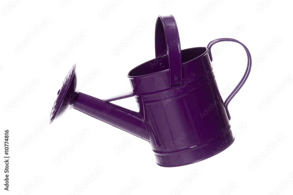 Fototapeta premium watering can