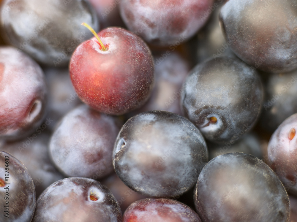 Fototapeta premium Plums