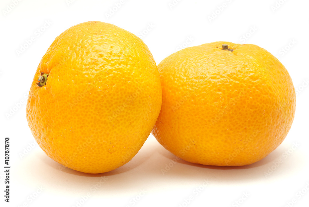 mandarin mandarin