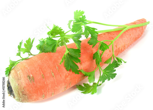 Carrot with parsley