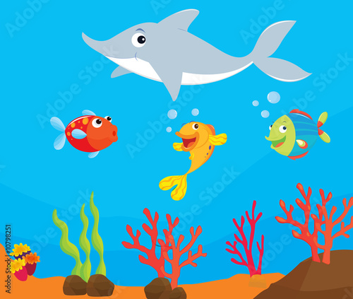 reef fish illustration