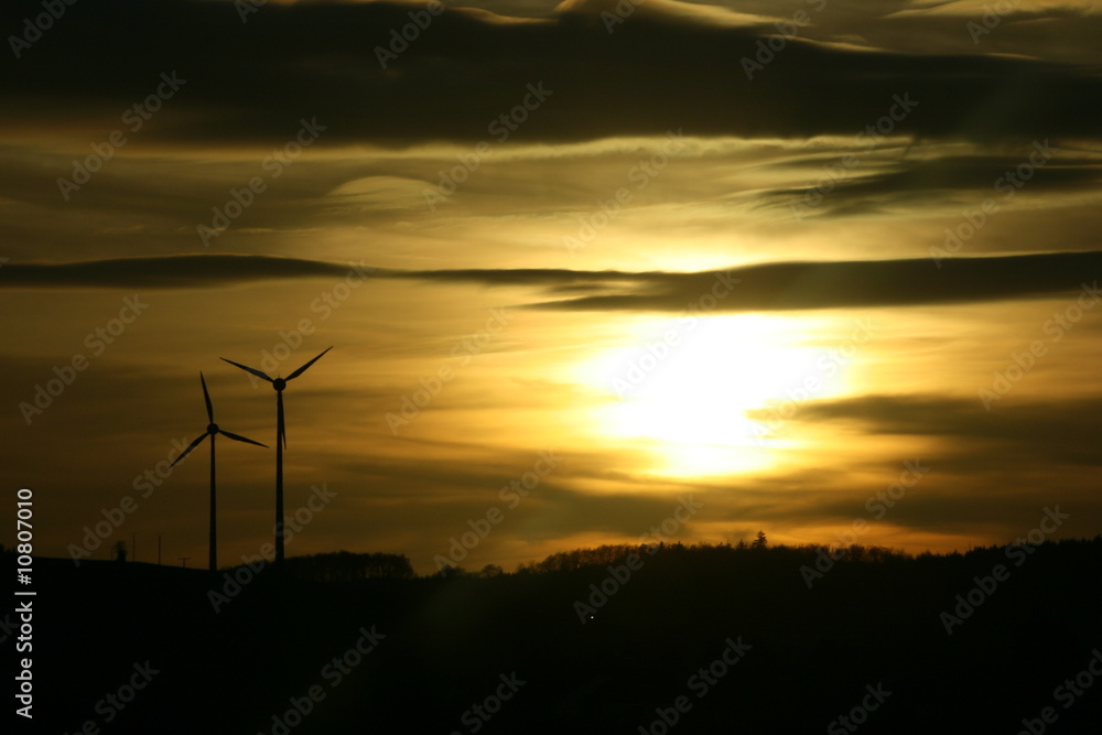 Fototapeta premium Golden