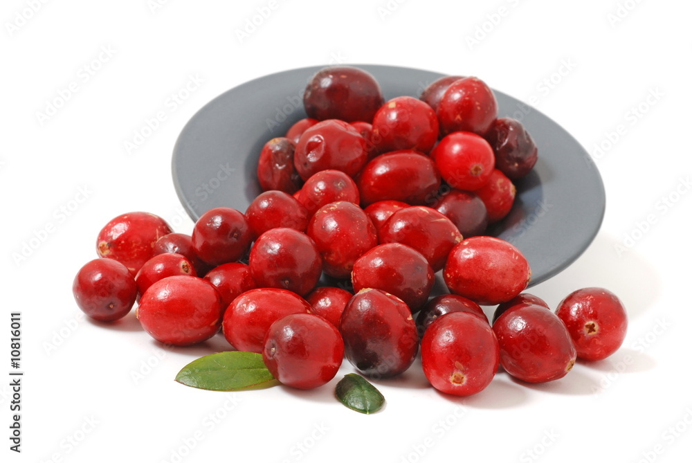 cranberries isolated on white cranberries isolated on white