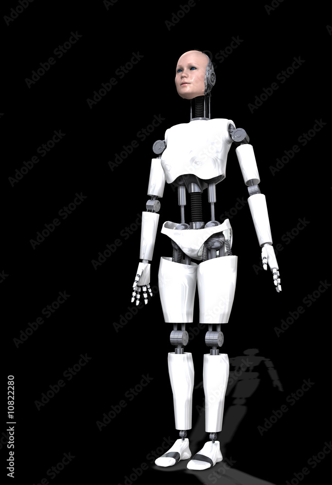 Robot Women 2