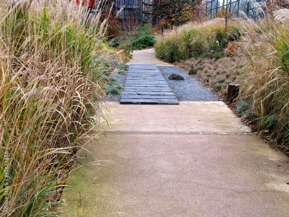 Fototapeta premium Allée dans un jardin zen.