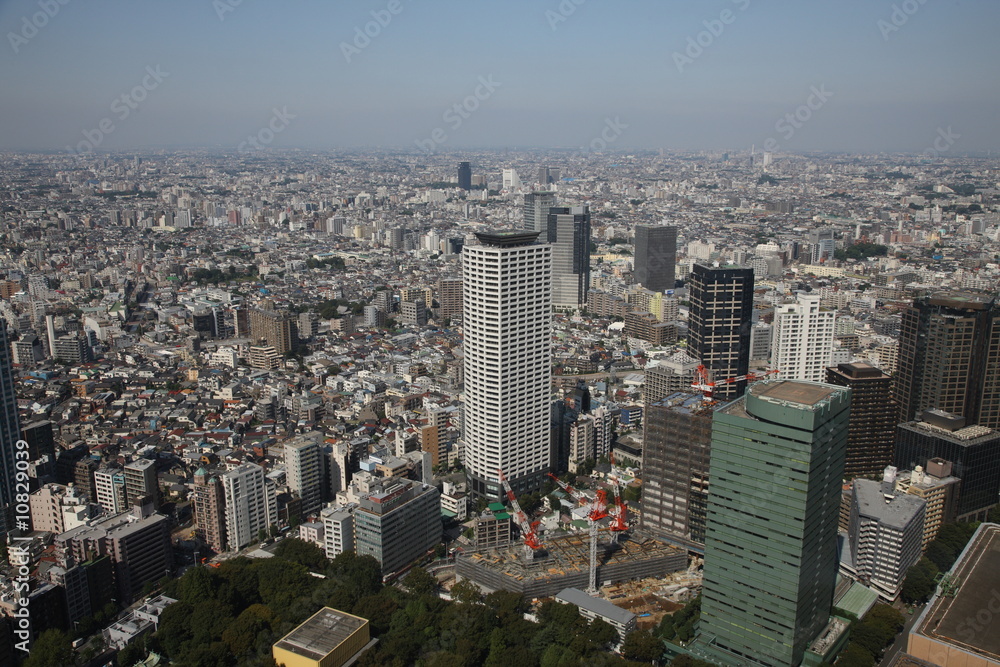 Fototapeta premium Tokyo panorama