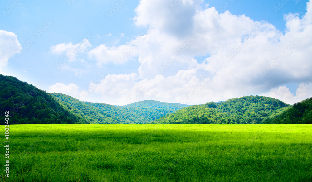 Fototapeta premium green field and mountains