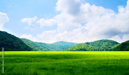 green field and mountains