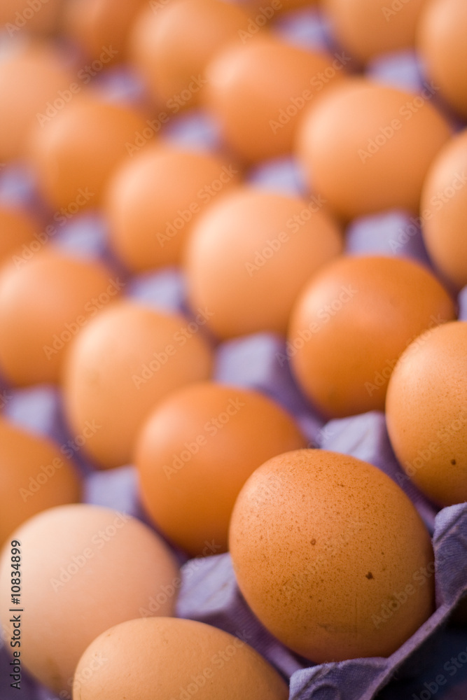 Eggs in carton Eggs in carton