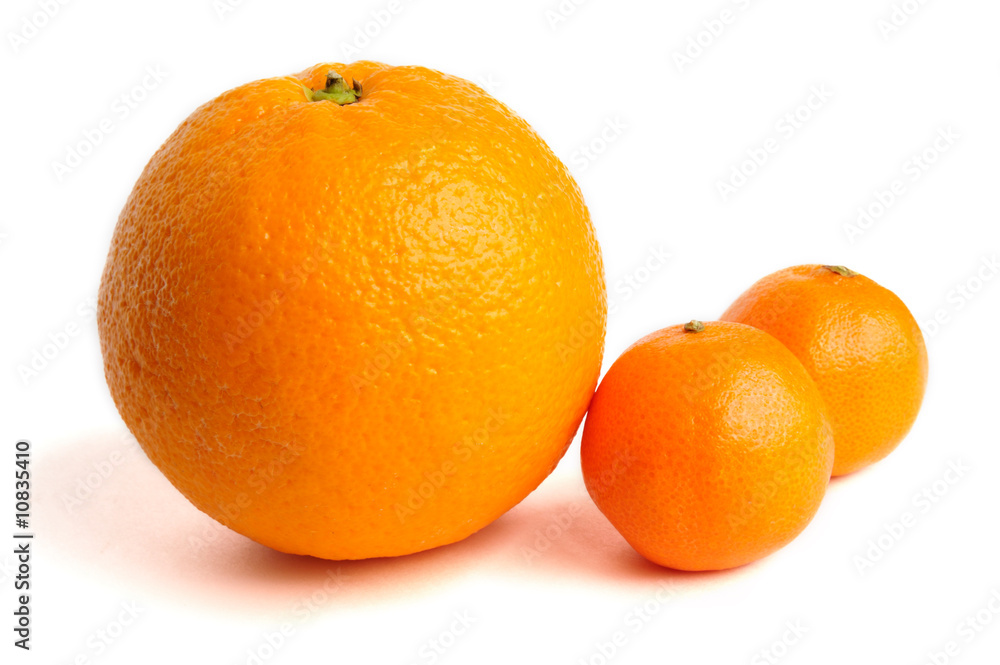 Orange and mandarins isolated on white background Orange and mandarins isolated on white background